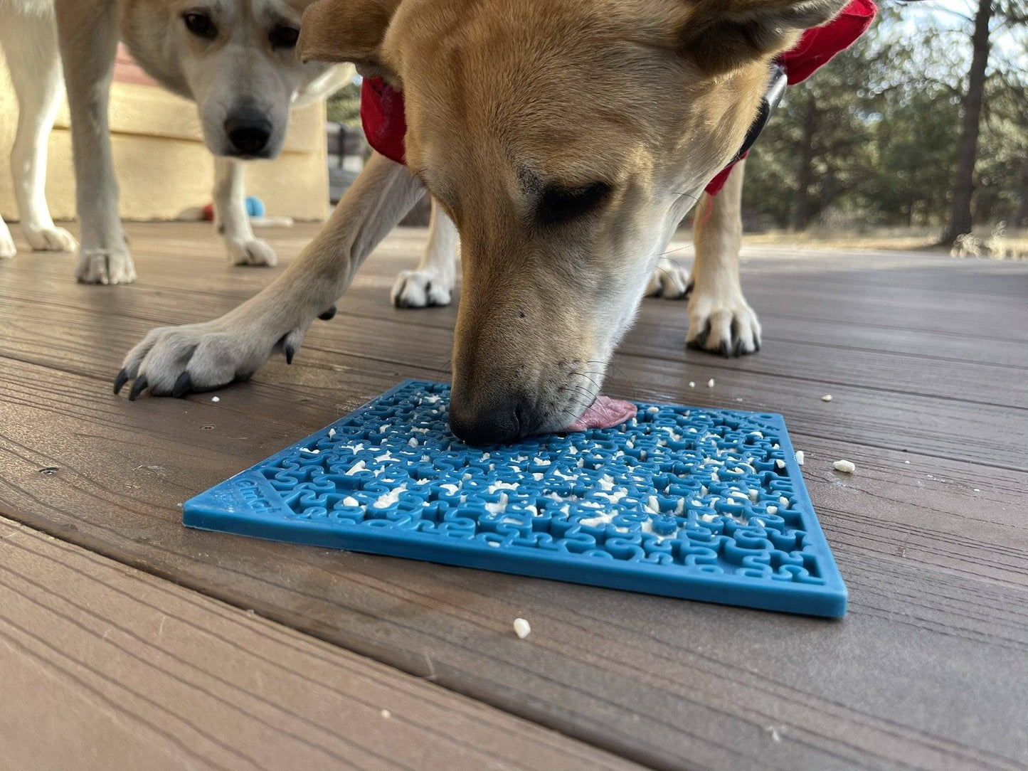 Jigsaw Puzzle eMat - Enrichment Lick Mat for Dogs and Cats | eMat Enrichment Toy for Anxiety Relief | USA Made - Doot's Pet LLC Collars For A Cause