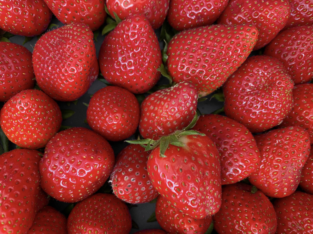 Strawberry Flavored Yak Cheese Chew - made with REAL STRAWBERRY Puree - Single - Doot's Pet LLC Collars For A Cause