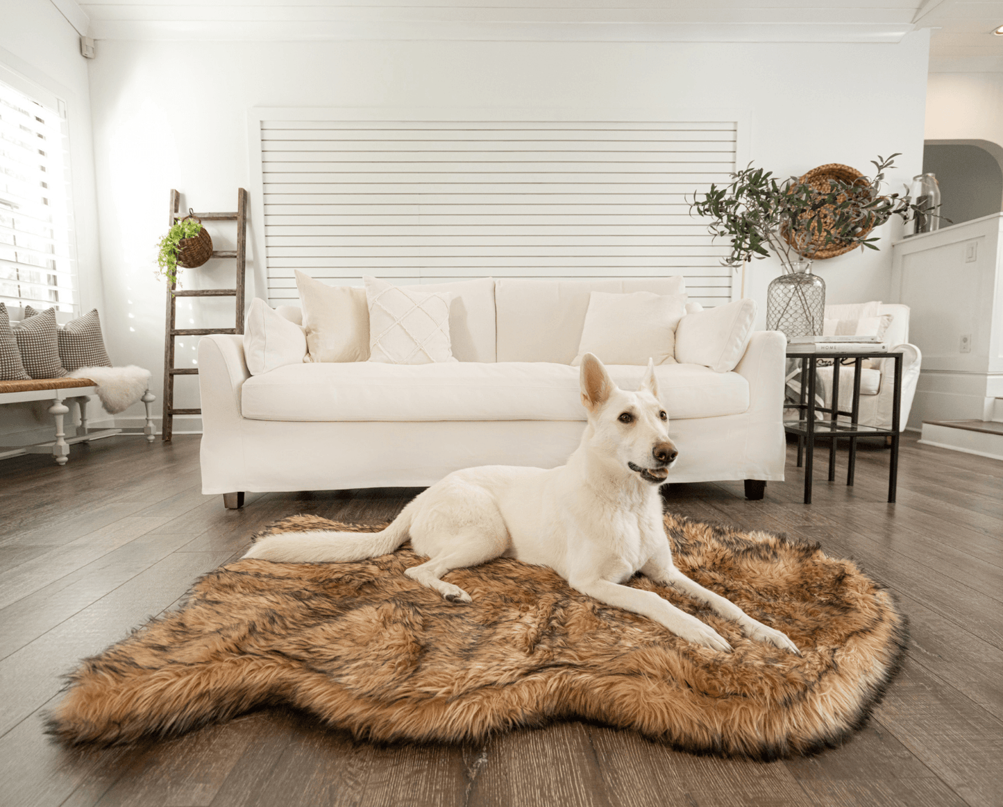 PupRug by Paw.com® Faux Fur Orthopedic Dog Bed - Curve Sable Tan - Doot's Pet LLC Collars For A Cause