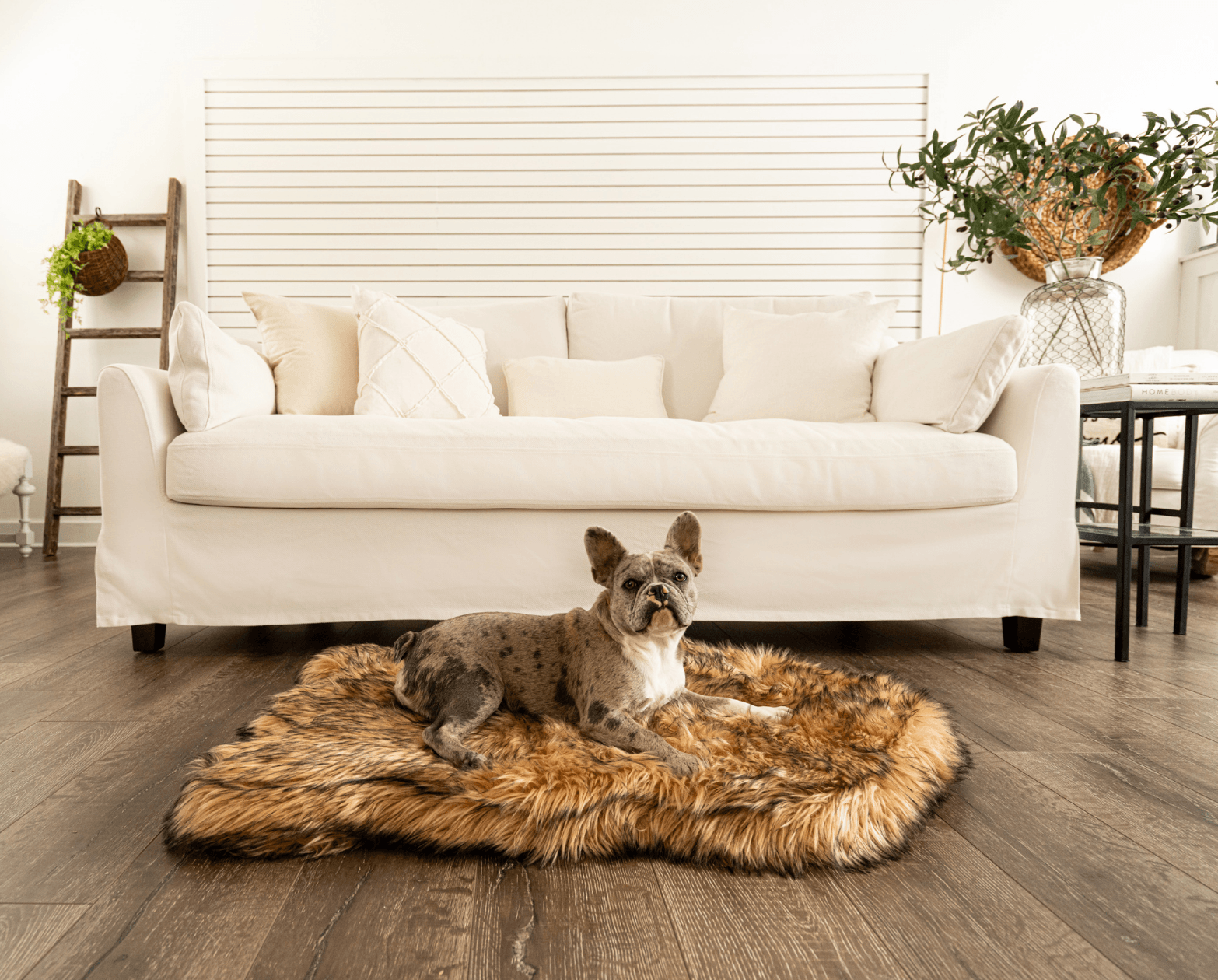 PupRug by Paw.com® Faux Fur Orthopedic Dog Bed - Curve Sable Tan - Doot's Pet LLC Collars For A Cause