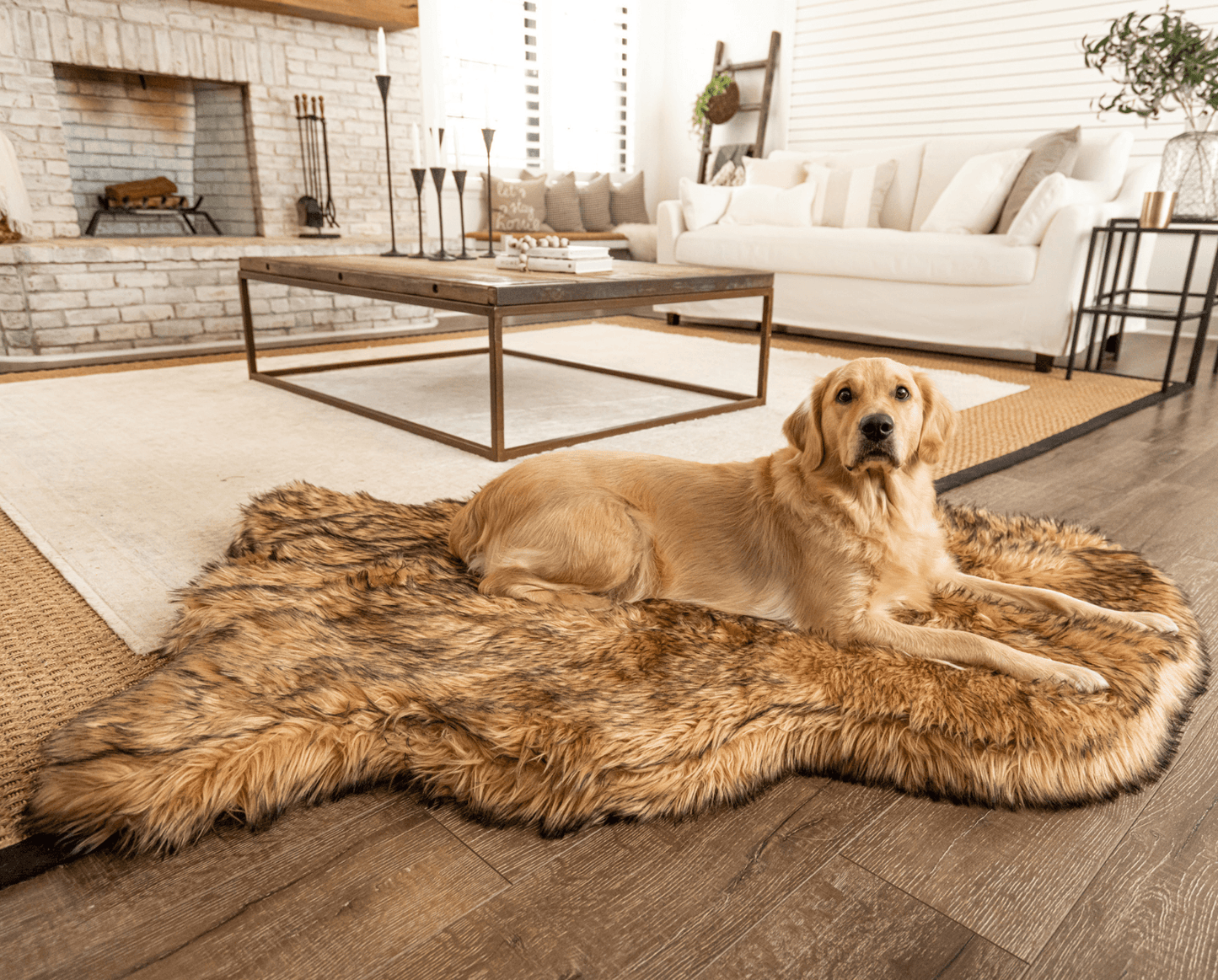 PupRug by Paw.com® Faux Fur Orthopedic Dog Bed - Curve Sable Tan - Doot's Pet LLC Collars For A Cause