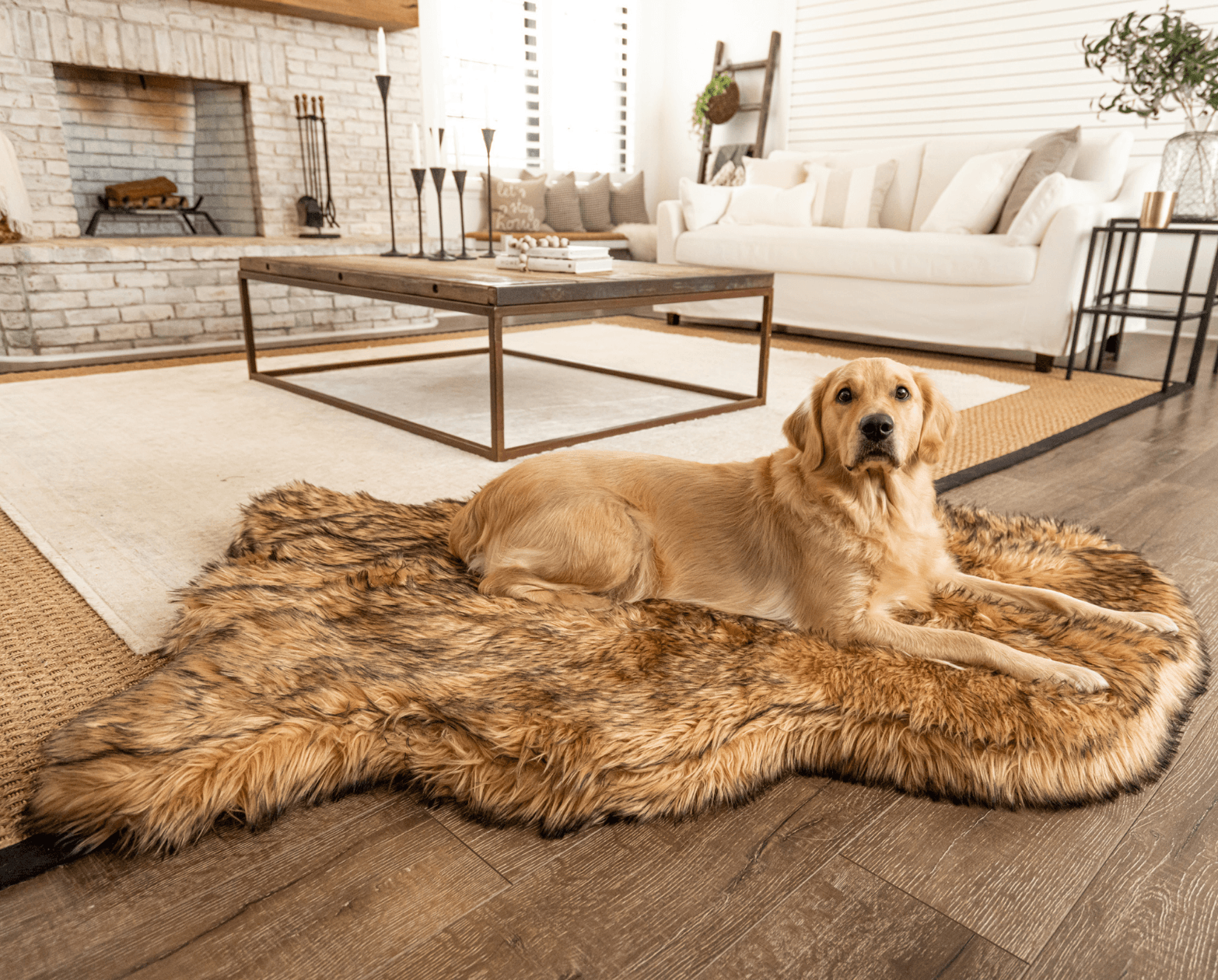 PupRug by Paw.com® Faux Fur Orthopedic Dog Bed - Curve Sable Tan - Doot's Pet LLC Collars For A Cause