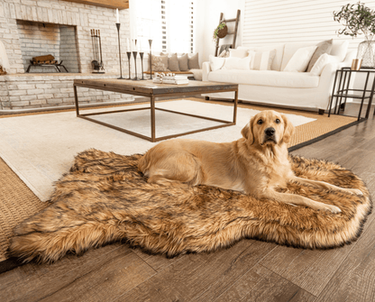 PupRug by Paw.com® Faux Fur Orthopedic Dog Bed - Curve Sable Tan - Doot's Pet LLC Collars For A Cause