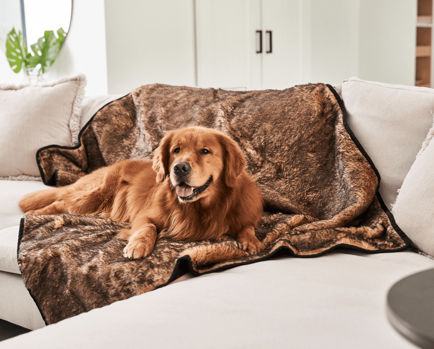 PupProtector™ Short Fur Waterproof Throw Blanket - Sable Tan - Doot's Pet LLC Collars For A Cause