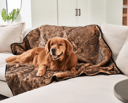 PupProtector™ Short Fur Waterproof Throw Blanket - Sable Tan - Doot's Pet LLC Collars For A Cause