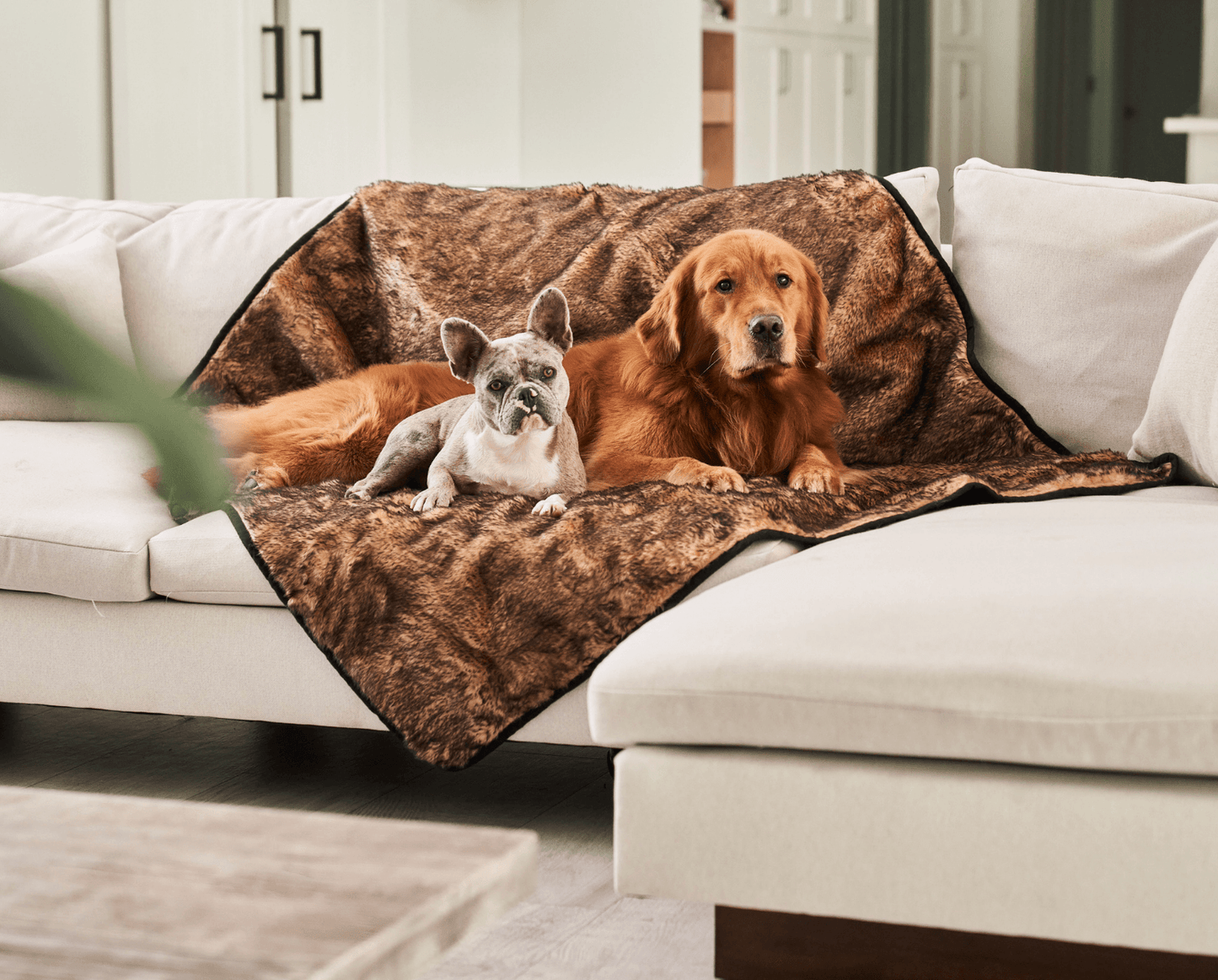 PupProtector™ Short Fur Waterproof Throw Blanket - Sable Tan - Doot's Pet LLC Collars For A Cause