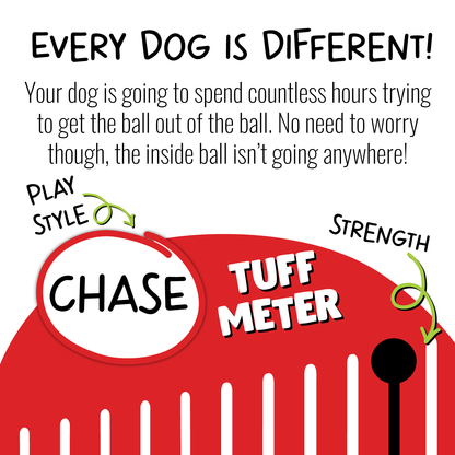 Teaser Ball - Doot's Pet LLC Collars For A Cause