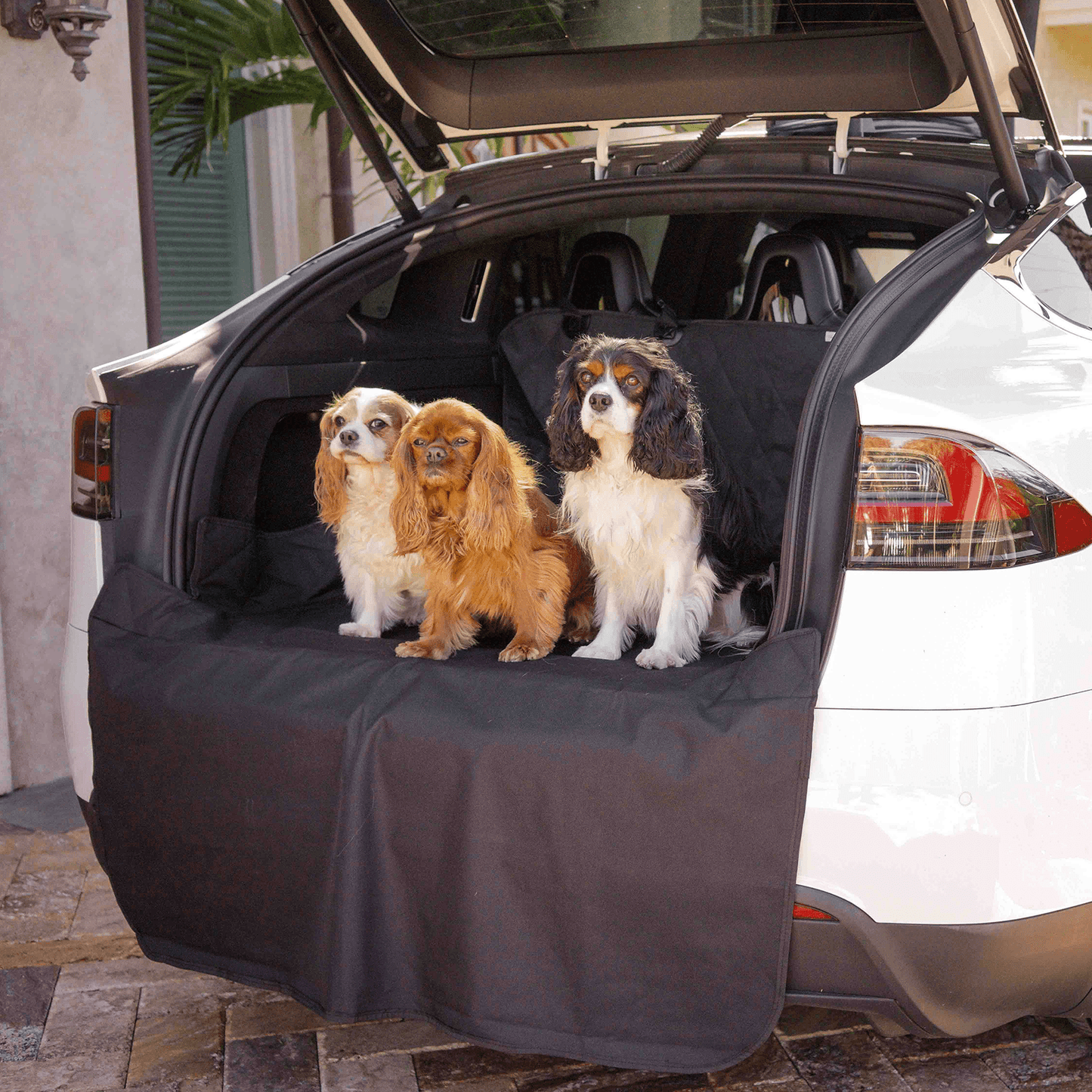PupProtector™ Cargo Cover Liner for SUVs and Cars - Doot's Pet LLC Collars For A Cause