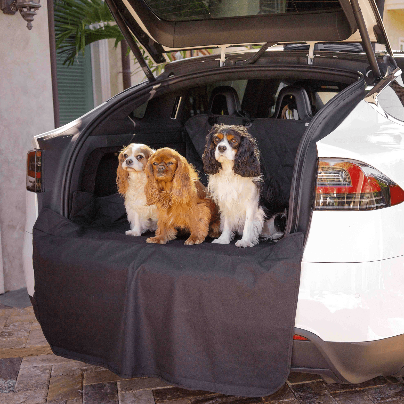 PupProtector™ Cargo Cover Liner for SUVs and Cars - Doot's Pet LLC Collars For A Cause