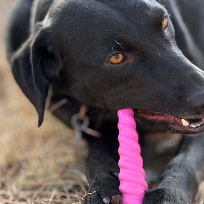 Unicorn Horn Nylon Dog Chew Toy | Durable for Aggressive Chewers | SodaPup - Doot's Pet LLC Collars For A Cause