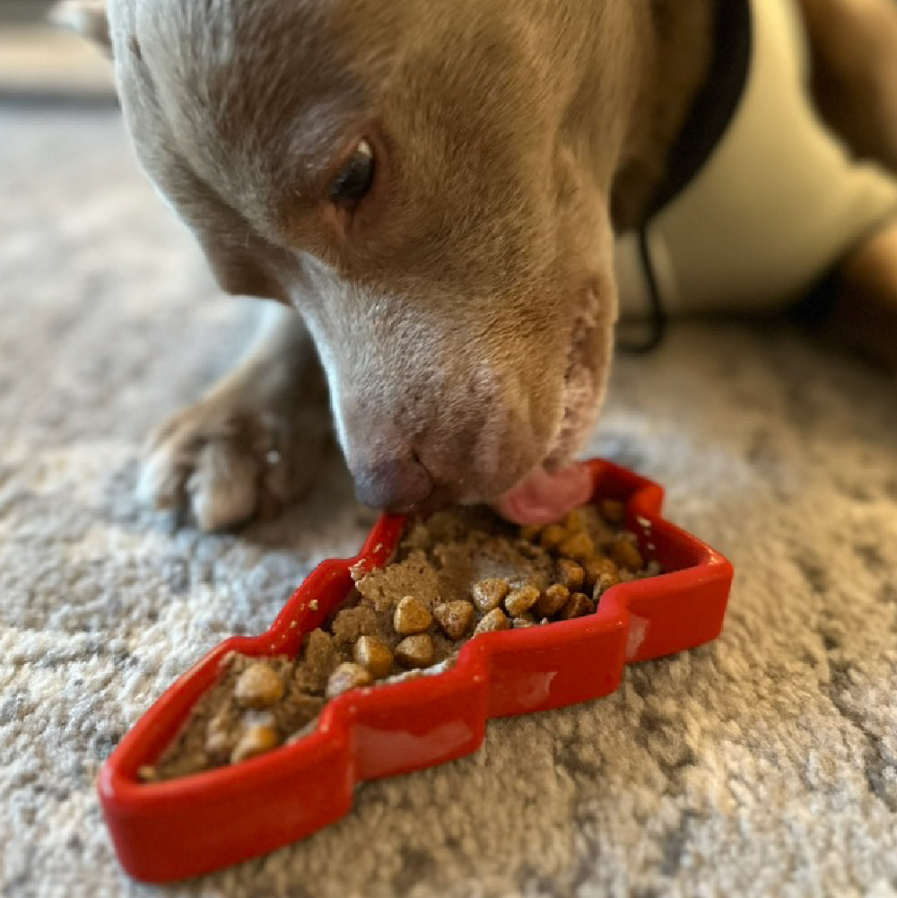 FreezTree - Mental Stimulation Chew Toy - Doot's Pet LLC Collars For A Cause