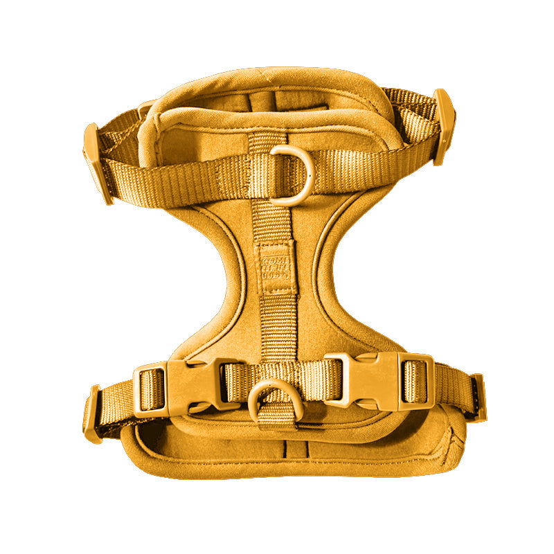 Come Here Buddy Harness