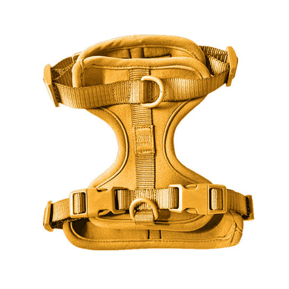 Come Here Buddy Harness