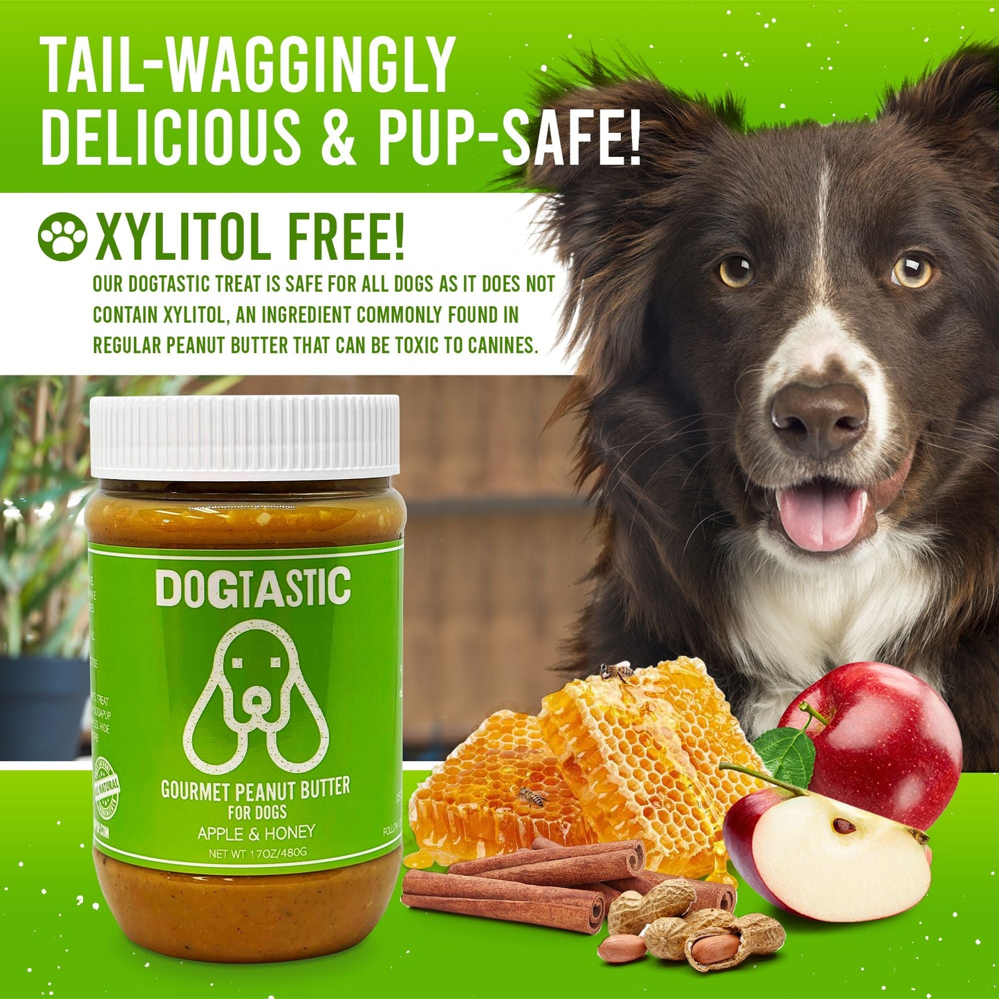 Dogtastic Peanut Butter for Dogs with Flax Seed - Xylitol-Free | USA Made - 50% off - Doot's Pet LLC Collars For A Cause