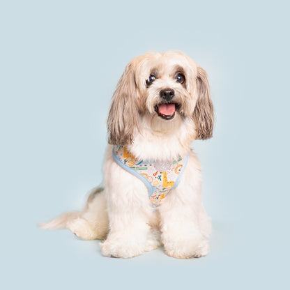 Boho Baby Adjustable Harness