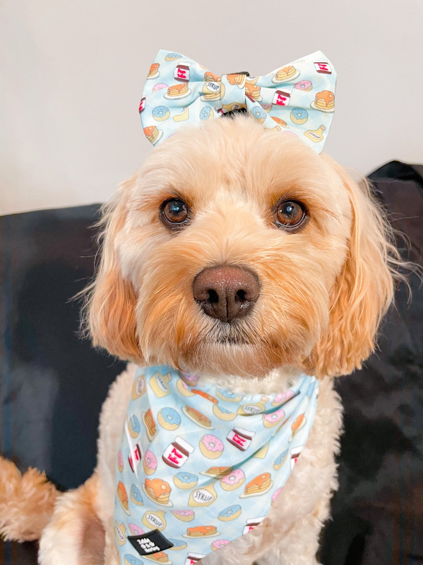 Barking Brunch Bandana