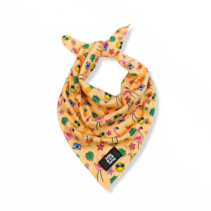 Club Pupicana Bandana