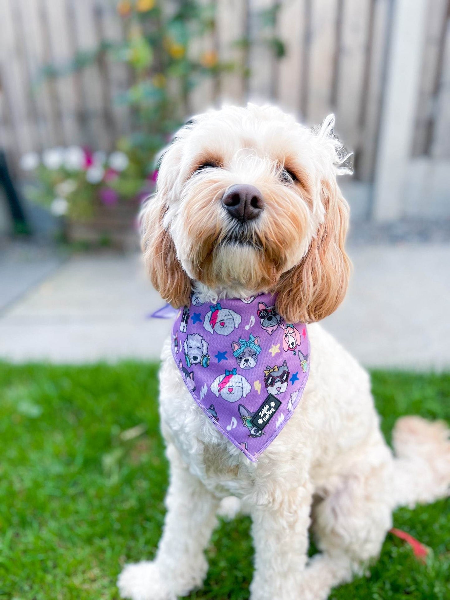 Muttallica Bandana