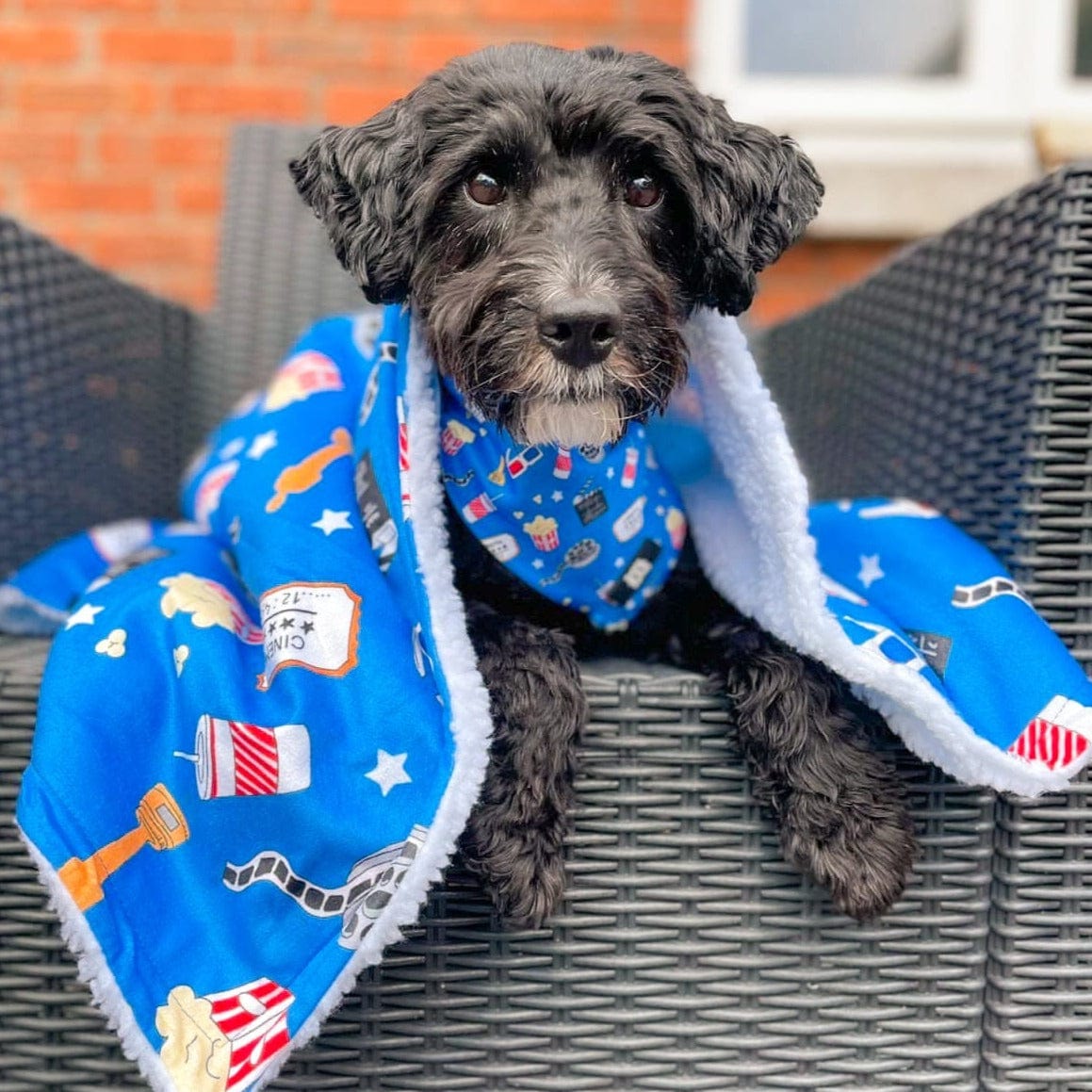 Howl-lywood Dog Blanket - Doot's Pet LLC Collars For A Cause