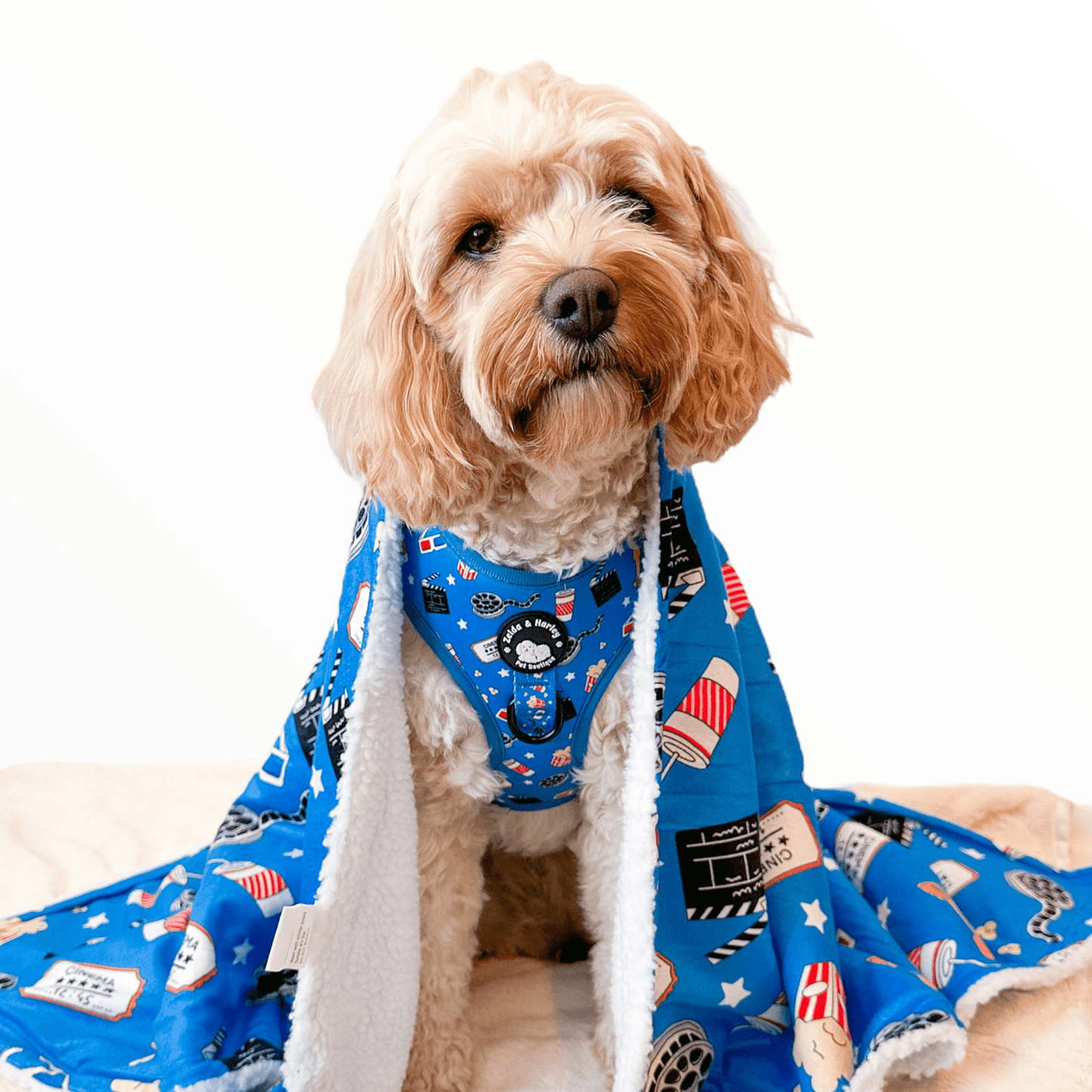Howl-lywood Dog Blanket - Doot's Pet LLC Collars For A Cause