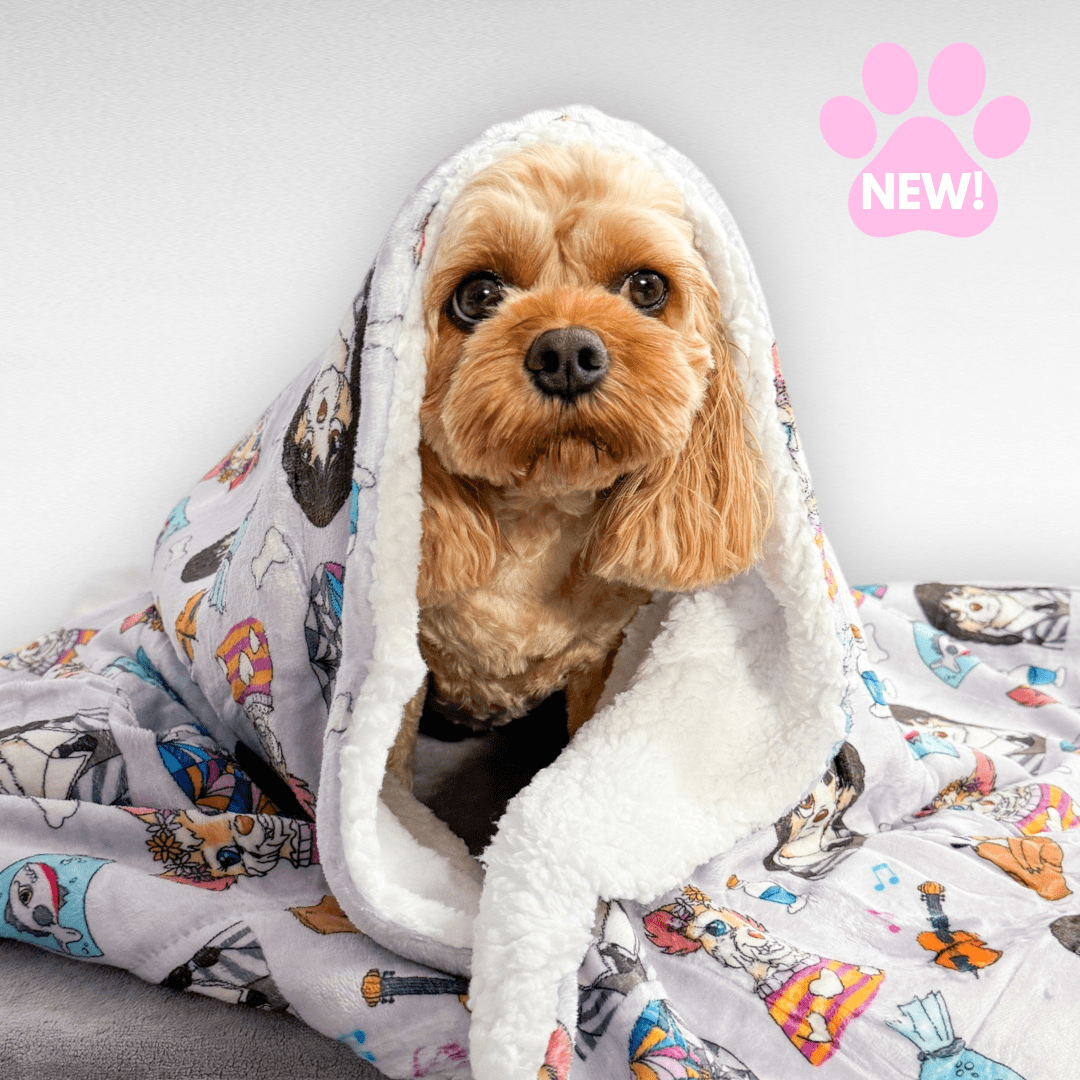 Woofsday Dog Blanket