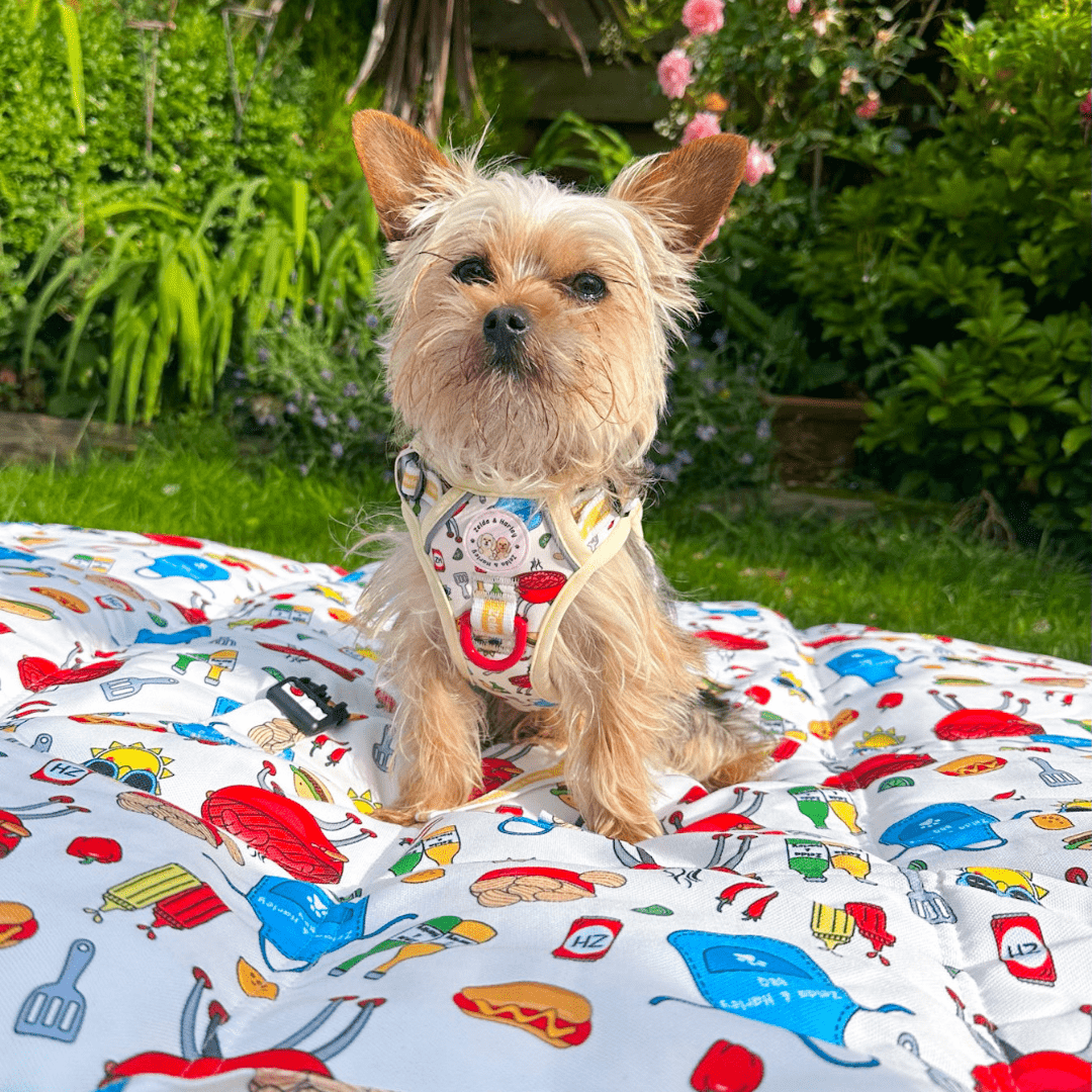 Hot Dawg - Dog Travel Mat