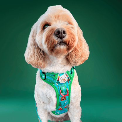 Bark Ranger - Adventure No Pull Harness
