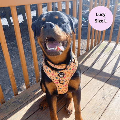 Club Pupicana - No Pull Adjustable Dog Harness