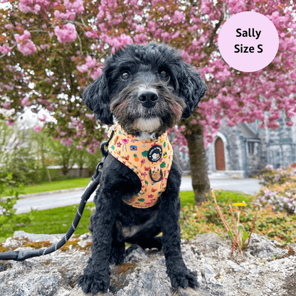 Club Pupicana - No Pull Adjustable Dog Harness