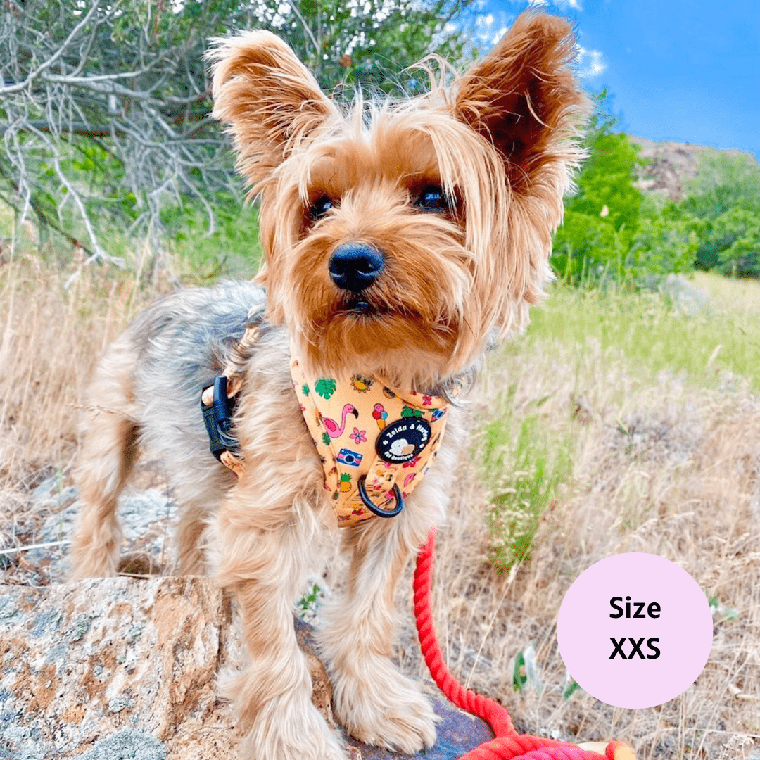 Club Pupicana - No Pull Adjustable Dog Harness