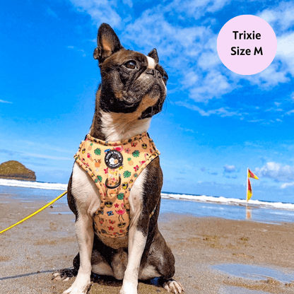 Club Pupicana - No Pull Adjustable Dog Harness