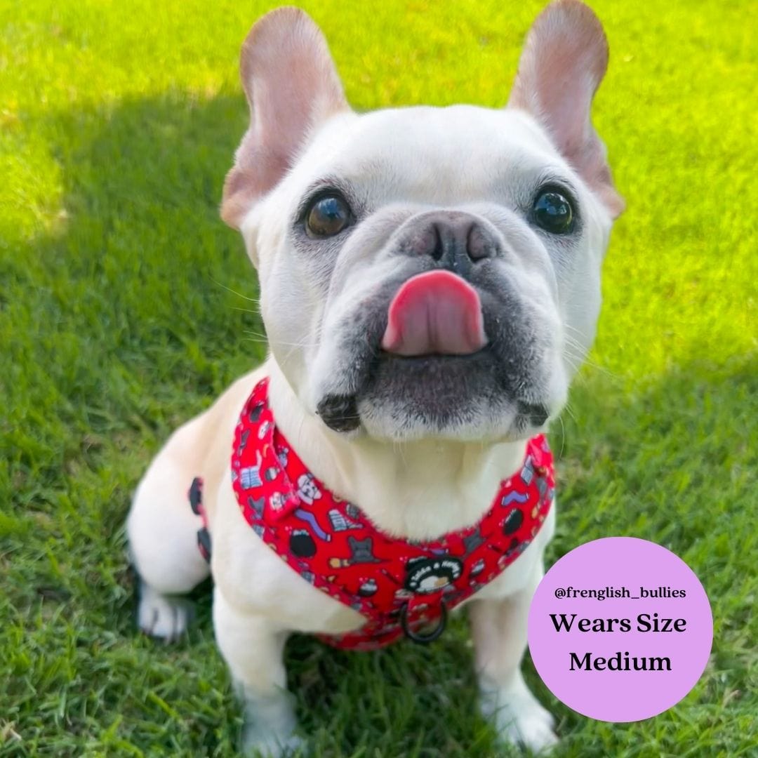 Hairy Pawter - No Pull Adjustable Dog Harness - Doot's Pet LLC Collars For A Cause