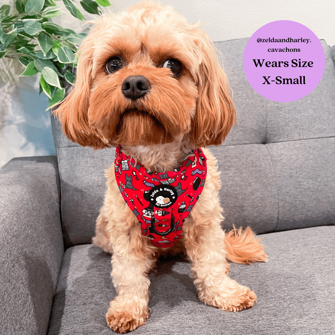 Hairy Pawter - No Pull Adjustable Dog Harness - Doot's Pet LLC Collars For A Cause