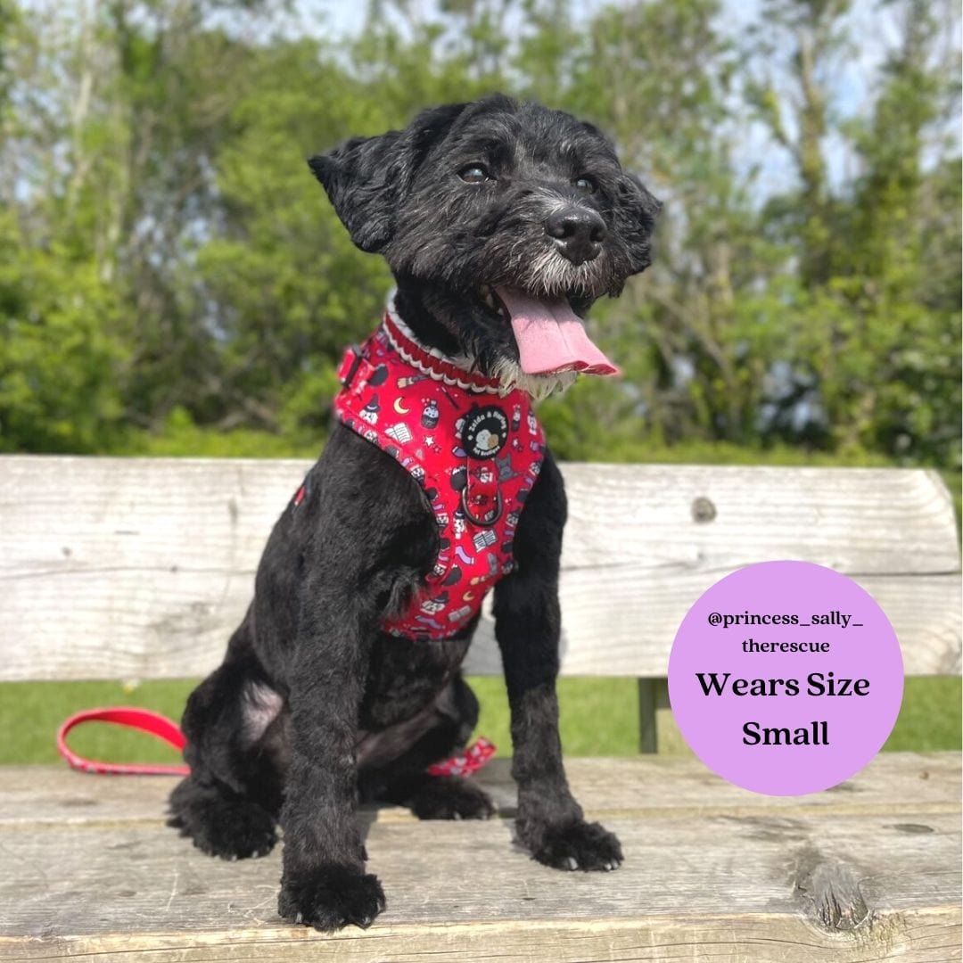 Hairy Pawter - No Pull Adjustable Dog Harness - Doot's Pet LLC Collars For A Cause