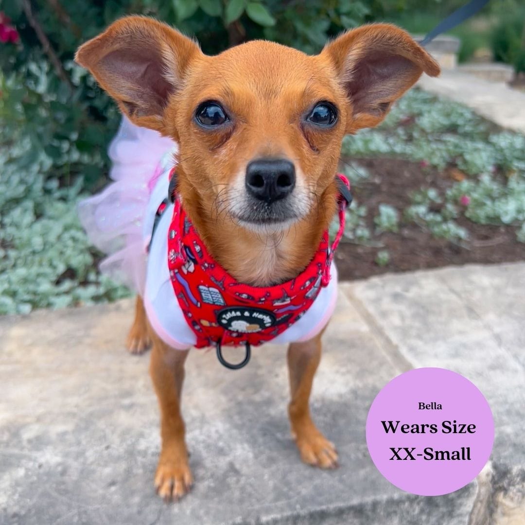 Hairy Pawter - No Pull Adjustable Dog Harness - Doot's Pet LLC Collars For A Cause