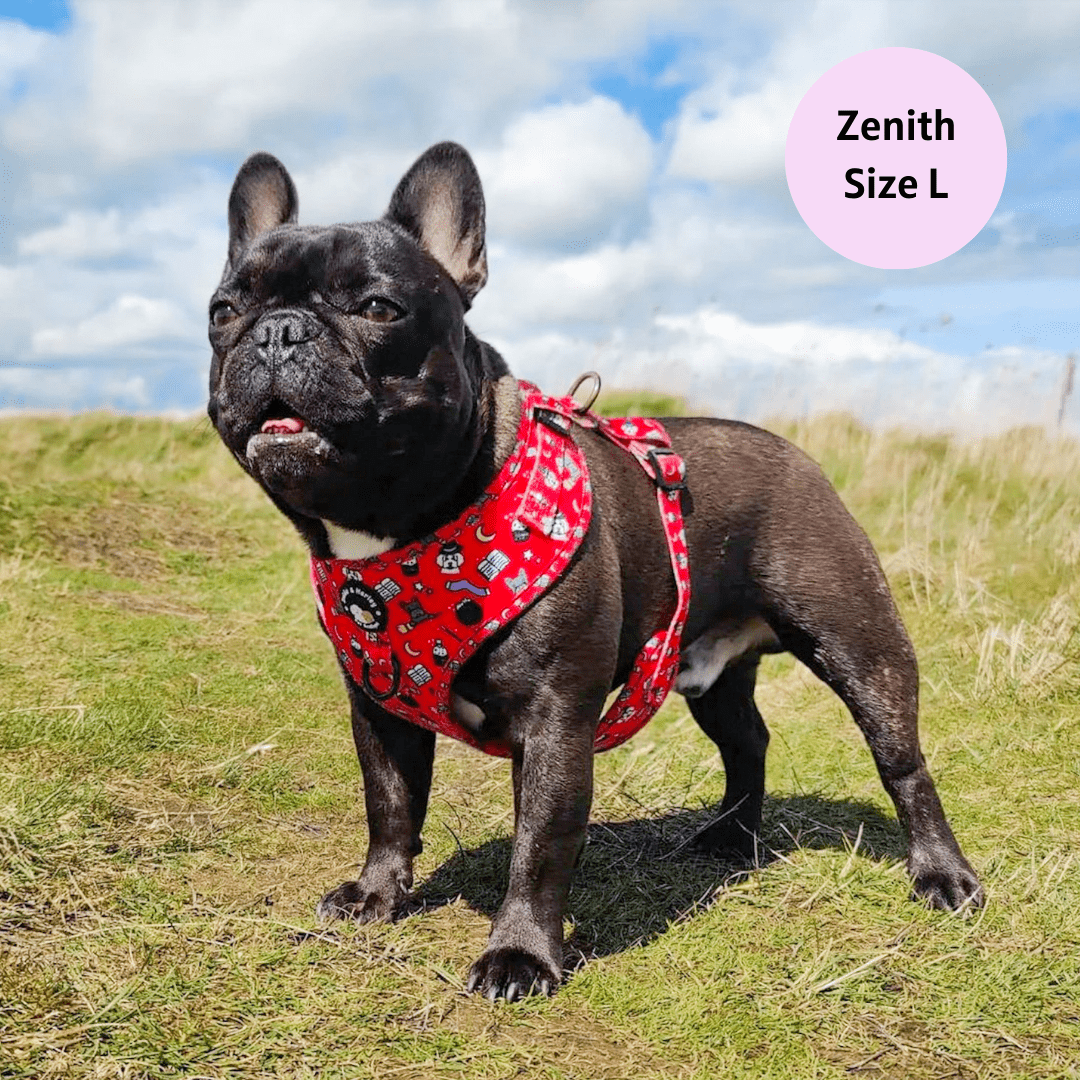 Hairy Pawter - No Pull Adjustable Dog Harness - Doot's Pet LLC Collars For A Cause