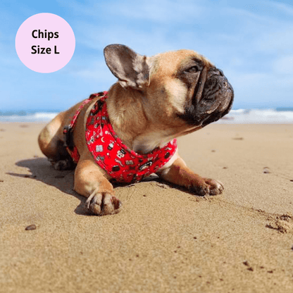 Hairy Pawter - No Pull Adjustable Dog Harness - Doot's Pet LLC Collars For A Cause