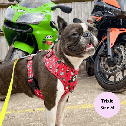 Hairy Pawter - No Pull Adjustable Dog Harness - Doot's Pet LLC Collars For A Cause