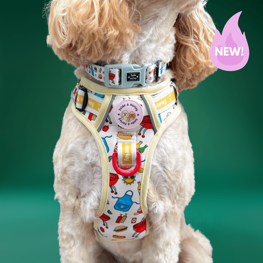 Hot Dawg - Adventure No Pull Harness