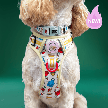 Hot Dawg - Adventure No Pull Harness