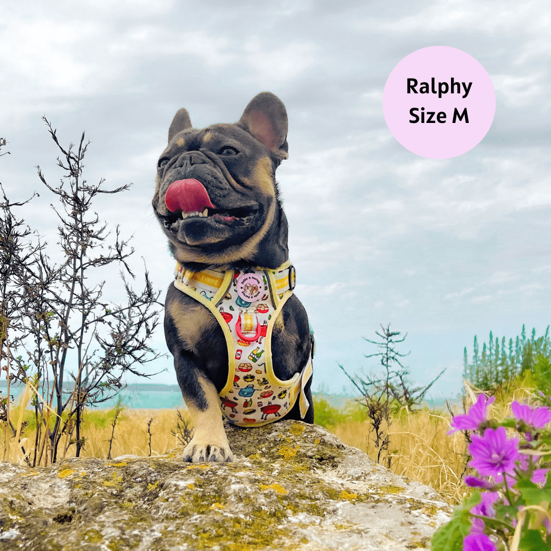 Hot Dawg - Adventure No Pull Harness