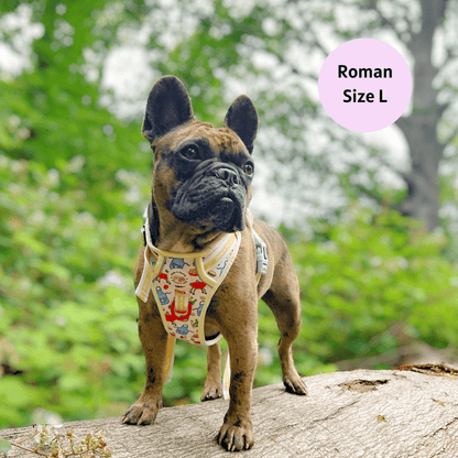 Hot Dawg - Adventure No Pull Harness