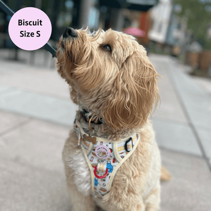 Hot Dawg - Adventure No Pull Harness