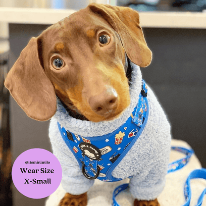 Howl-lywood - No Pull Adjustable Dog Harness