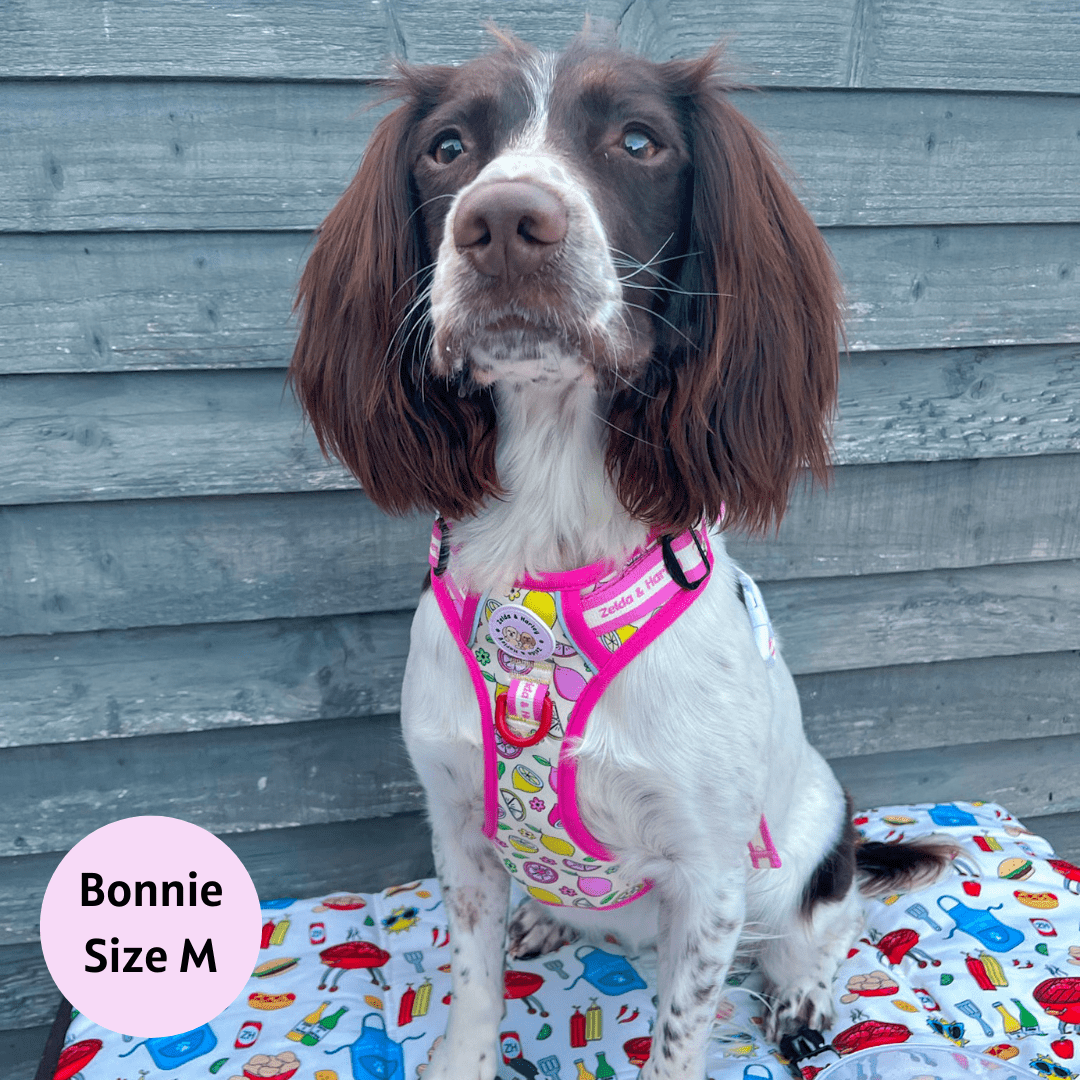 Pink Lemonade - Adventure No Pull Harness