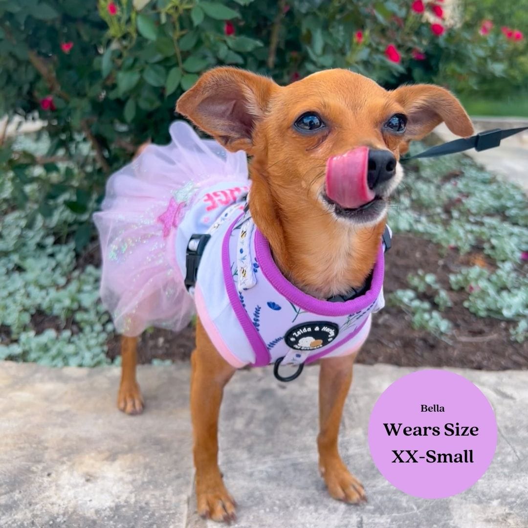 Sweet as Can Bee - No Pull Adjustable Dog Harness