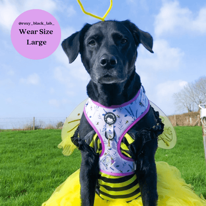 Sweet as Can Bee - No Pull Adjustable Dog Harness