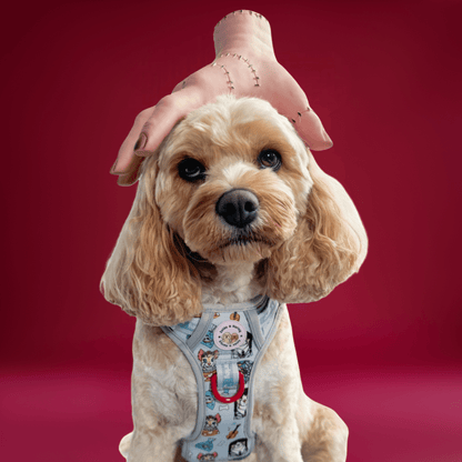 Woofsday - Adventure No Pull Harness