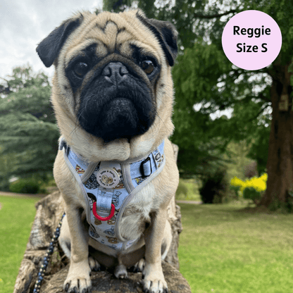 Woofsday - Adventure No Pull Harness