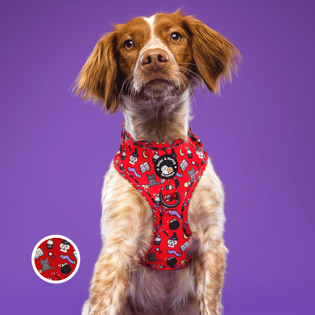 Hairy Pawter - No Pull Adjustable Dog Harness - Doot's Pet LLC Collars For A Cause